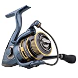 Pflueger PRESSP20B President Spinning Fishing Reel
