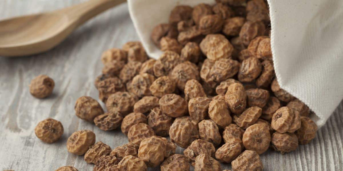 how to prepare tiger nuts for carp fishing, how to use tiger nuts for carp fishing, how to make tiger nut hookbaits