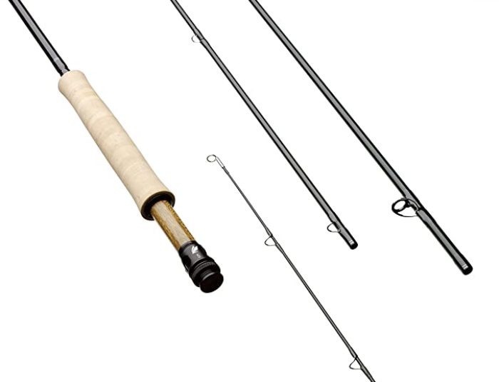 Best Sage X Fly Rod Review for 2022
