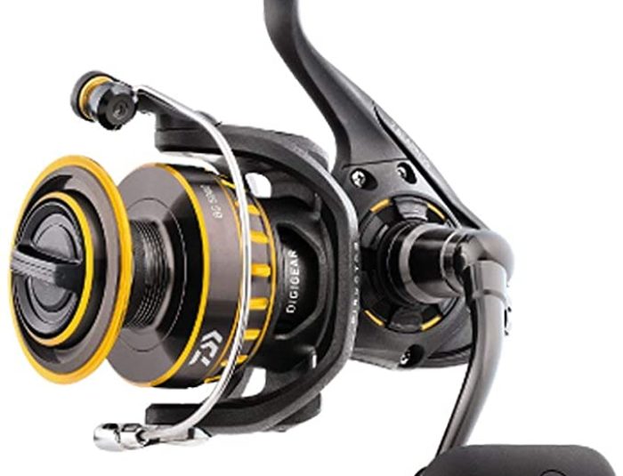 Daiwa BG Spinning Reel Review for 2022