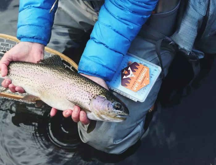 What is Harling for Trout?