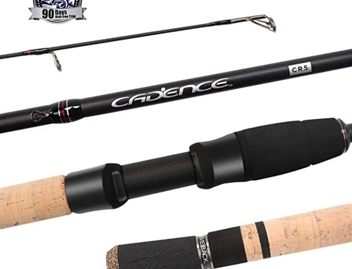Cadence CR5 Spinning Rod Review for 2022