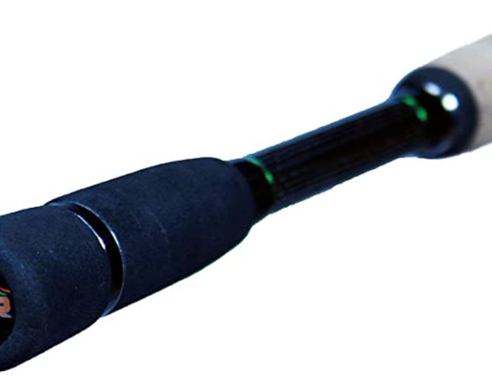 Dobyns Fury Casting Rods Review for 2022