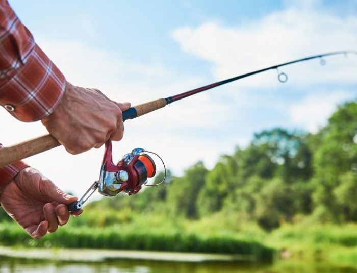 Baitcasting vs Spinning Reel – Which One Is Best?