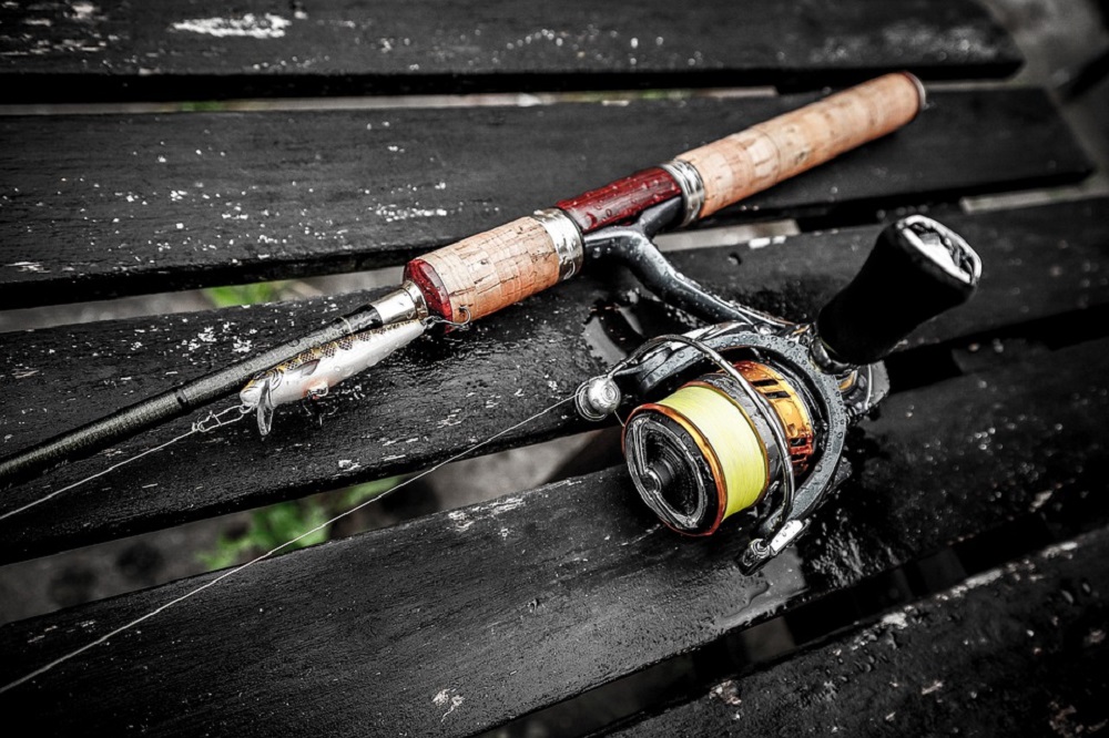 Best Spinning Rod for Bass Fishing