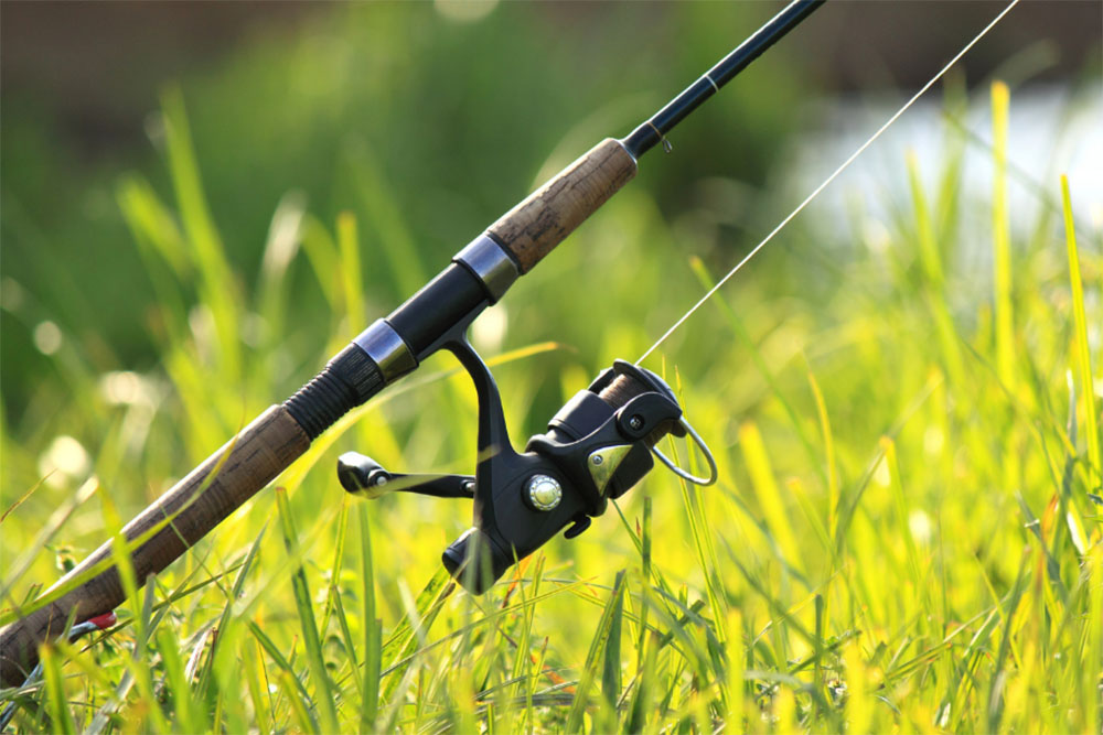 What Are The Top Rod And Reel Combos For Catfish