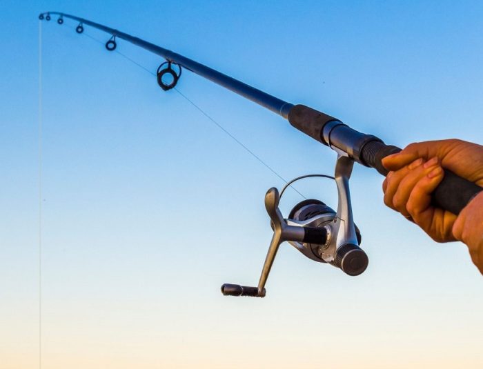 What Are the Parts of a Fishing Rod?