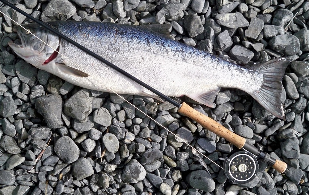 What Are The Best Trolling Rods for Salmon?
