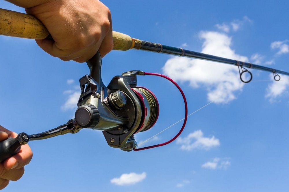 What Are The Parts of a Spinning Reel?