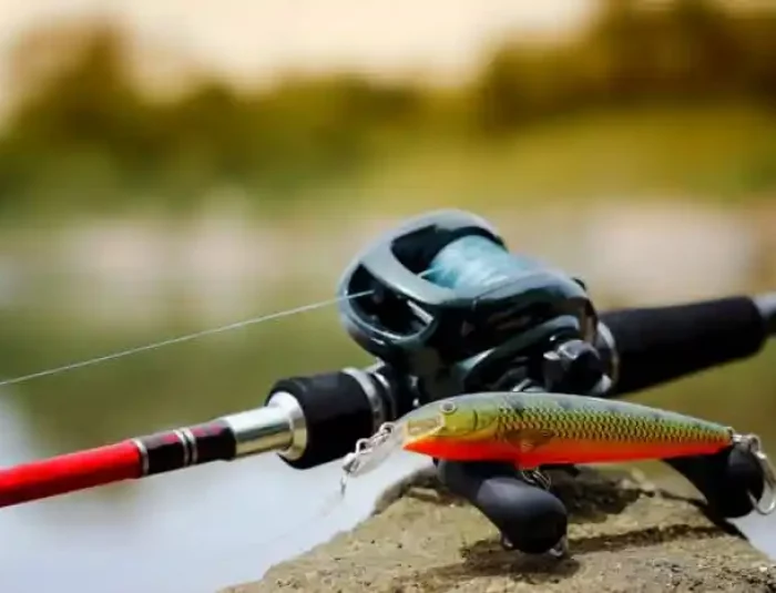 Best Baitcasting Reels for Bass Fishing (2022 Reviews)