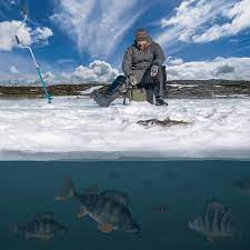 angler using best ice fishing flasher and fish finder