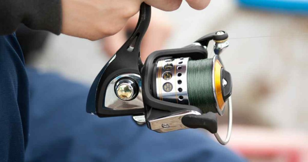 comparing baitcasting reel and spinning reel