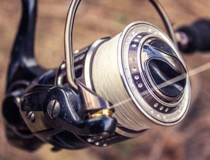 Baitcasting vs Spinning Reel – Which One Is Best?