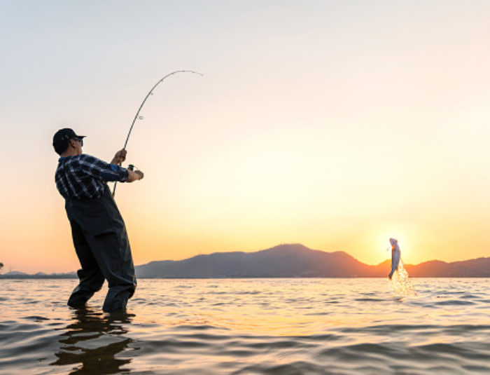 Types of Lures for Freshwater and Saltwater Fishing