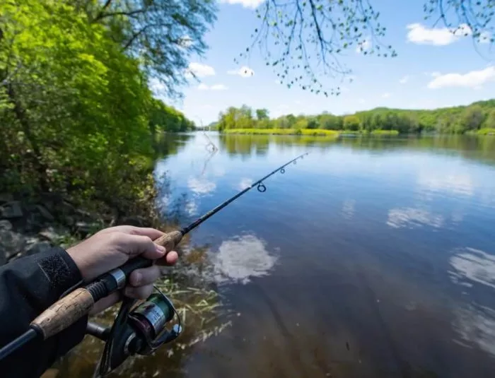 5 Best Spinning Rods for Bass Fishing in 2022