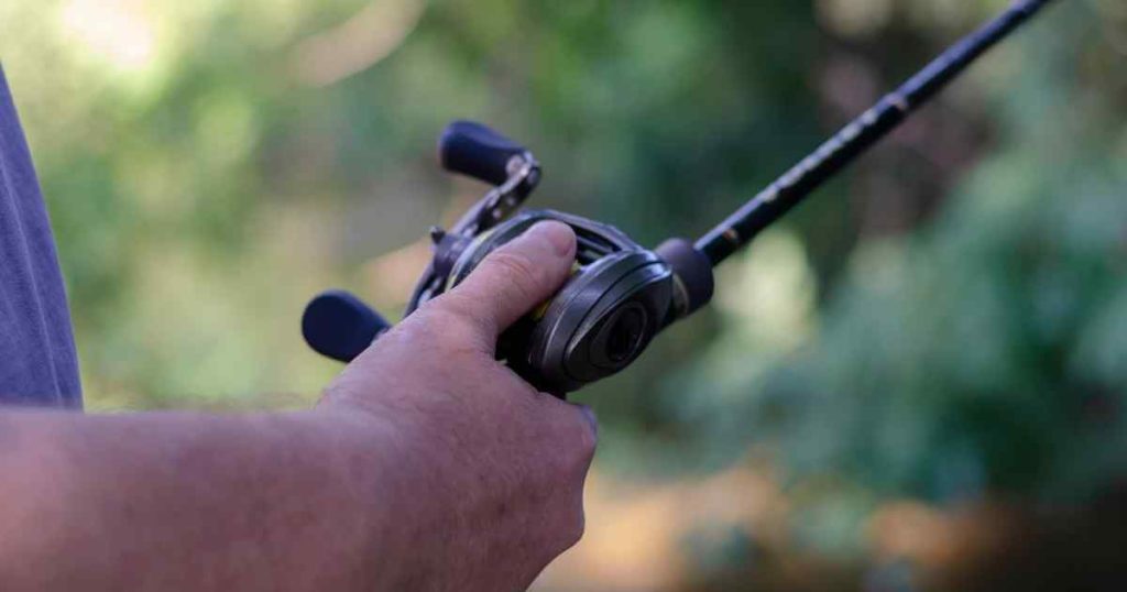 spinning reel and baitcaster compared