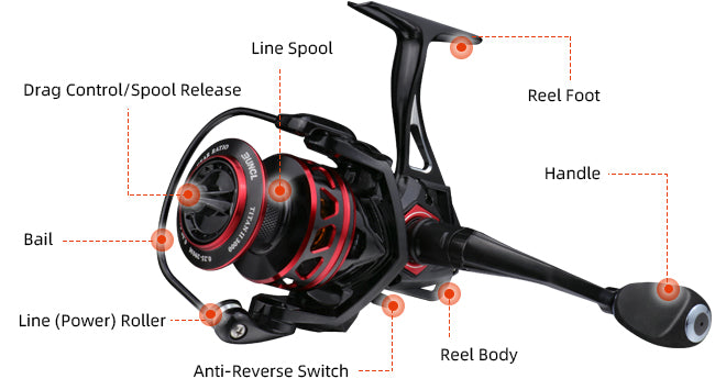 diagram of the parts of a spinning reel.