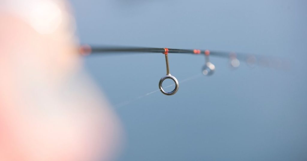 flexible and lighweight swimbait fishing rod