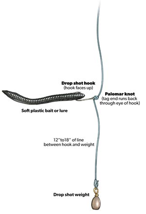 infographic of drop shot hook knot weight and line