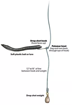 infographic of drop shot hook knot weight and line