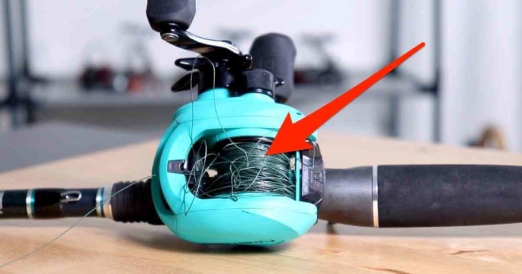 eliminate birds next fishing hack