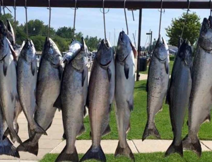 Fishing Charters in Grand Haven, MI (Best Season & Times)