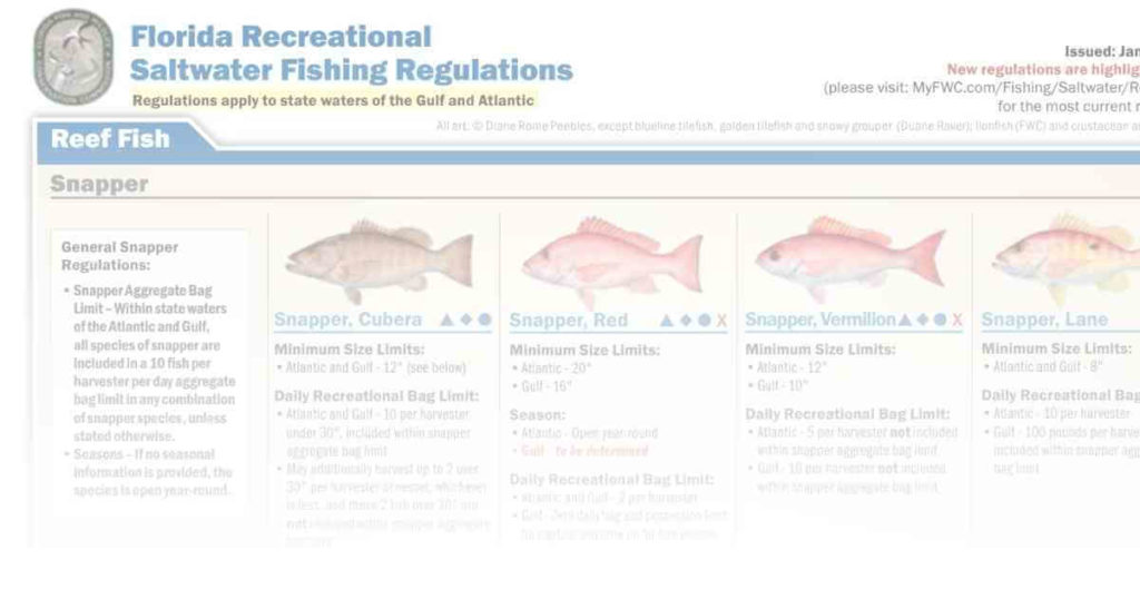 florida recreational saltwater fishing regulations