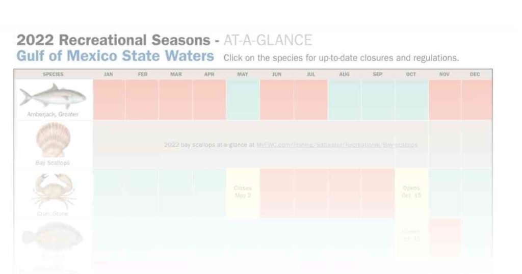 gulf of mexico state recreational seasons