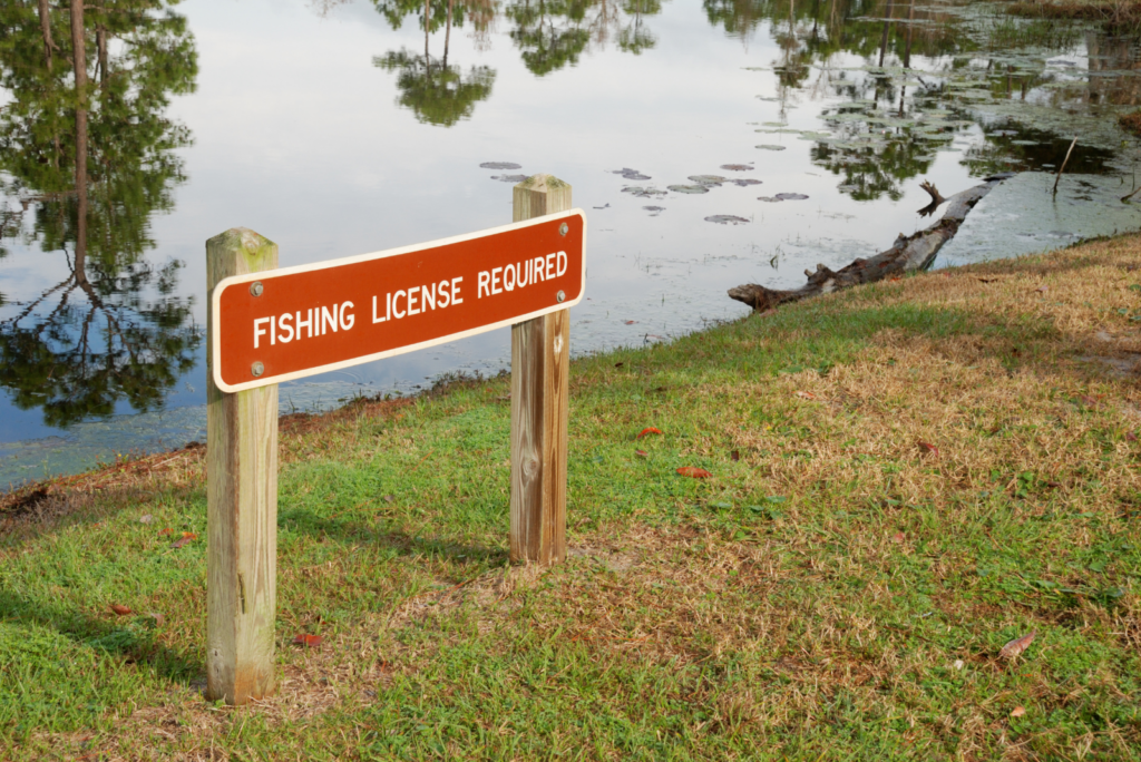 Fishing License