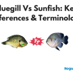 Bluegill Vs Sunfish